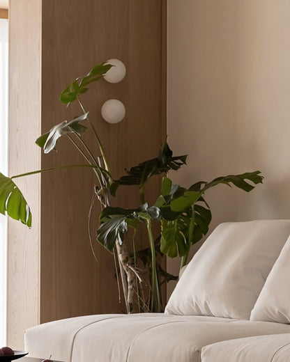 WOMO White Globe Glass Wall Sconce-WM6124